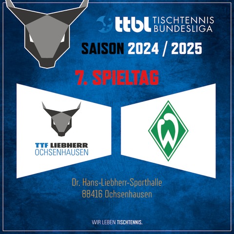 TTF Liebherr Ochsenhausen vs. SV Werder Bremen - Ochsenhausen - 16.11.2024 15:00