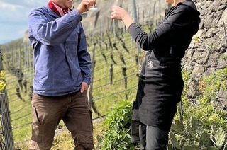 Mnstermarkt vor Ort: Weingut Sexauer mit Kserin Eva Hohlfeld - Kulinarischer Kse und Wein Abend