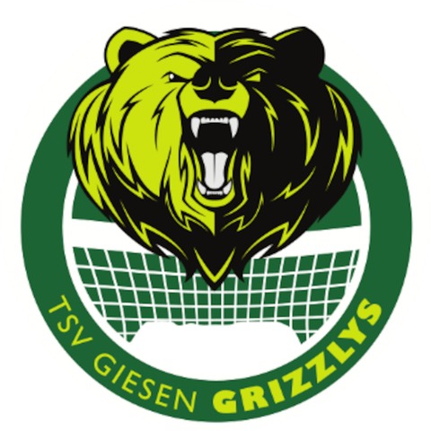 VfB Friedrichshafen - HELIOS Grizzlys Giesen - Friedrichshafen - 28.12.2024 20:00