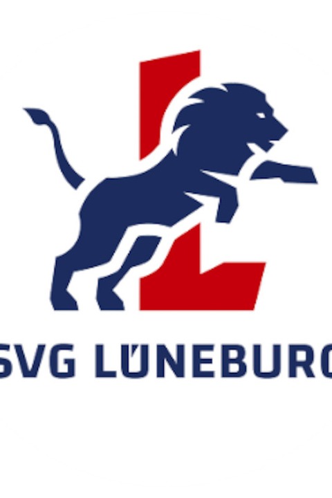 VfB Friedrichshafen - SVG Lneburg - Friedrichshafen - 15.03.2025 20:00