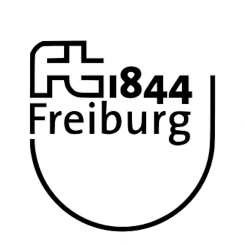 VfB Friedrichshafen - FT 1844 Freiburg - Friedrichshafen - 08.12.2024 15:00