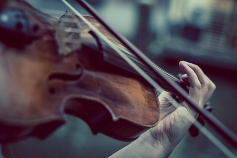 Junge Geigenvirtuosen - Abschlusskonzert des Meisterkurses Violine - Rheinsberg - 18.10.2024 19:00