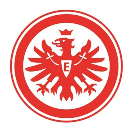 TSV Steinbach Haiger - Eintracht Frankfurt II - Haiger - 28.09.2024 14:00