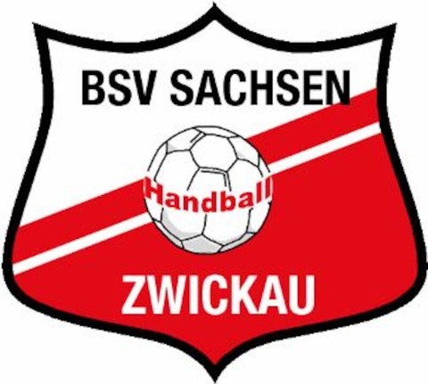 VfL Oldenburg - BSV Sachsen Zwickau - Oldenburg - 27.12.2024 18:00