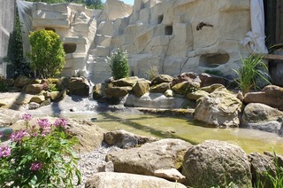 Waldrappen im Schwarzwaldzoo Waldkirch bekommen neues Gehege - mit Felsen und Wasserfall