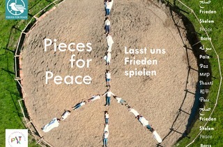 Pieces for Peace