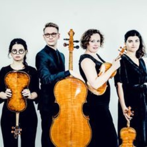 Familienkonzert: "Zauberflten" - Musik-Collagen 2024 - ZWINGENBERG - 06.10.2024 18:00