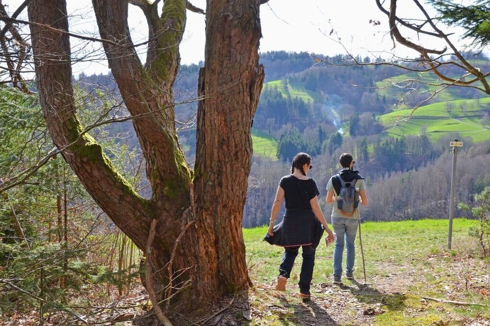 Wandern mit Mundart: Der Wiesentler Alemannenweg - Badische Zeitung TICKET