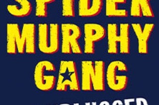 Spider Murphy Gang - unplugged 2025 - Open Air