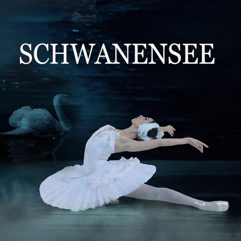 Schwanensee -United European Ballet - Schwanensee - Stuttgart - 18.12.2024 20:00