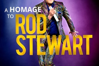 Mr. Rod - The No.1 Rod Stewart Show