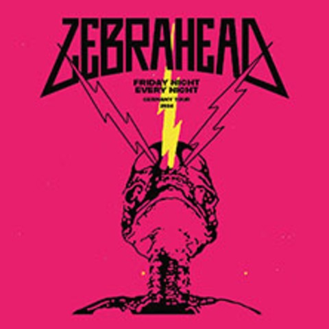 Zebrahead - Friday Night Every Night - Hamburg - 15.12.2024 20:00