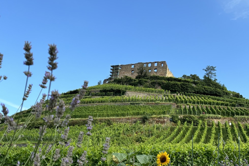 Staufen-Cache - Staufen