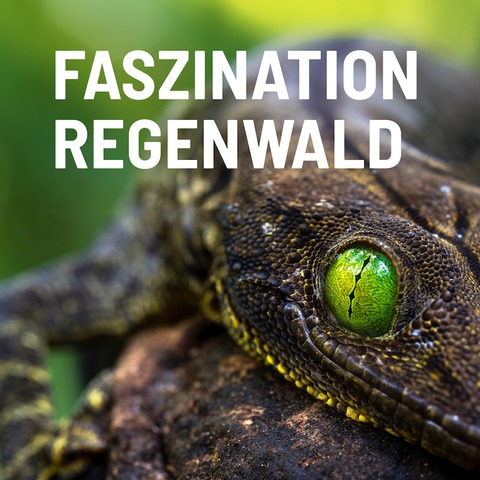 EXPEDITION ERDE: Faszination Regenwald - Wunderwelt im Verborgenen - Ludwigsburg - 23.03.2025 15:00