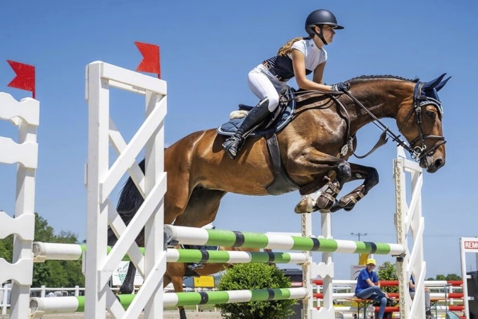 Das Reitturnier des Reit- und Fahrvereins Breisach findet an drei Tagen statt - Badische Zeitung TICKET