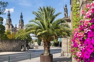 1-stndiger Stadtrundgang