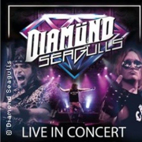 Diamond Seagulls - Lahr - 14.09.2024 19:30