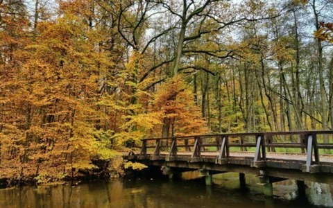 Wanderung - Herbstwanderung ins idyllische Gerdautal - Uelzen - 03.10.2024 14:00