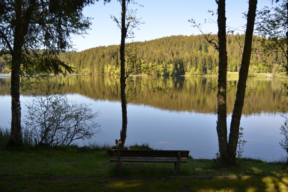 Strandbad Windgfllweiher - Lenzkirch