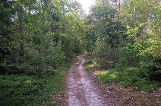 Wanderung - Schne Herbstwanderung im Veerer Wald