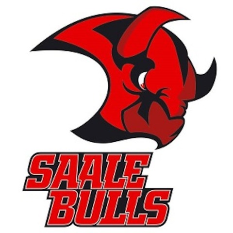 Hannover Scorpions - Saale Bulls Halle - Wedemark - 13.12.2024 20:00