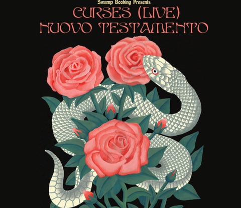 Curses (Live) + Nuovo Testamento - Dresden - 19.11.2024 20:00