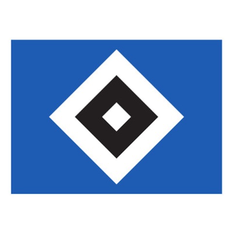 SV Todesfelde - Hamburger SV II - Todesfelde - 06.04.2025 14:00