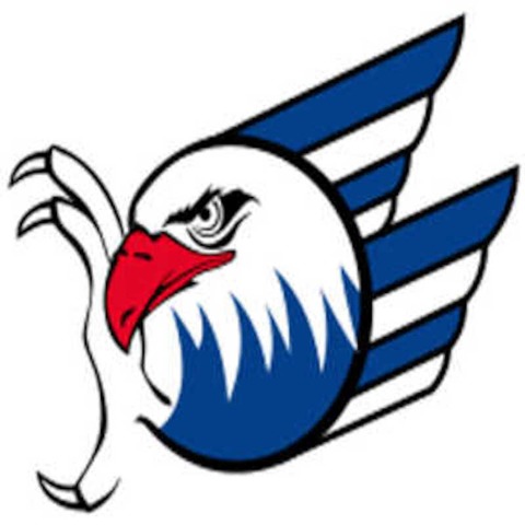 Schwenninger Wild Wings - Adler Mannheim - Villingen-Schwenningen - 31.01.2025 19:30