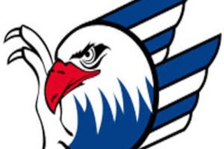 Schwenninger Wild Wings - Adler Mannheim