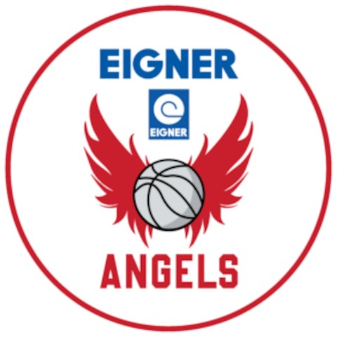 Rutronik Stars Keltern - Eigner Angels Nrdlingen - Keltern-Dietlingen - 19.01.2025 16:00