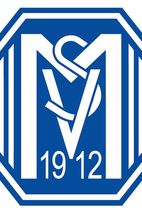 SV Meppen - TSV Havelse - Meppen - 28.09.2024 15:00