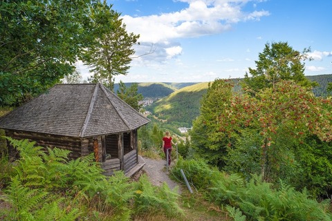 1. Globetrotter Wandertage Schwarzwald: Wanderung &#8222;Wetterfahnenhtte&#8220; - Bad Wildbad - 21.09.2024 10:30