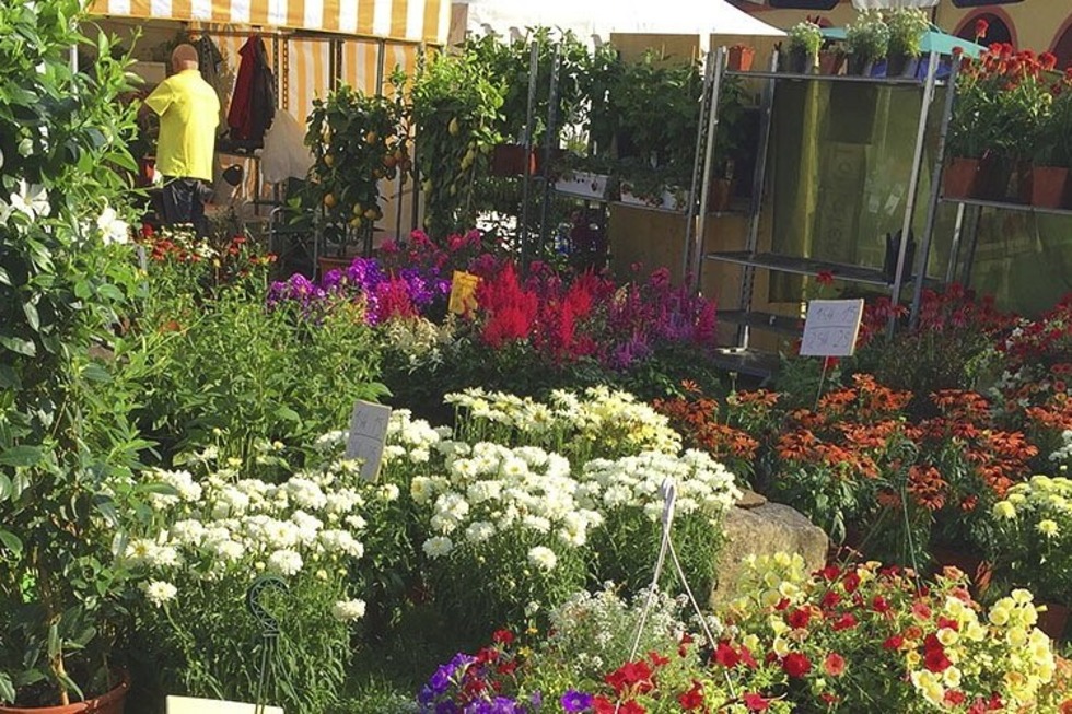 Die DIGA Gartenmesse findet am Wochenende in Bad Sckingen statt - Badische Zeitung TICKET