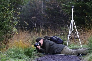 Im Haus der Natur auf dem Feldberg findet eine Foto-Workshop zum Thema Naturfotografie statt