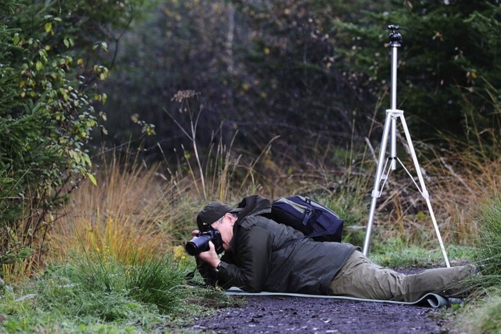 Im Haus der Natur auf dem Feldberg findet eine Foto-Workshop zum Thema Naturfotografie statt - Badische Zeitung TICKET