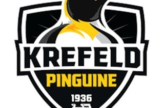 Ravensburg Towerstars - Krefeld Pinguine