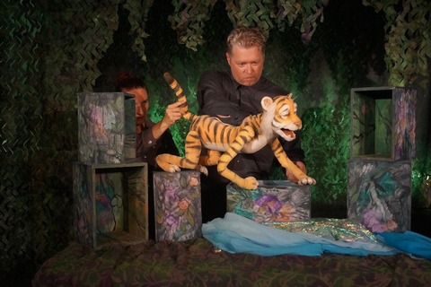 Tigerwild -  - 03.11.2024 11:00