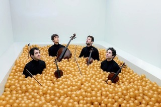 Vision String Quartet