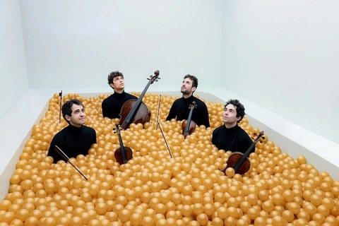 Vision String Quartet - Ulm - 21.02.2025 20:00