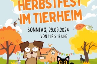 Herbstfest im Tierheim