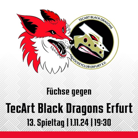 13. Spieltag: Fchse Duisburg - TecArt Black Dragons Erfurt - Duisburg - 01.11.2024 19:30