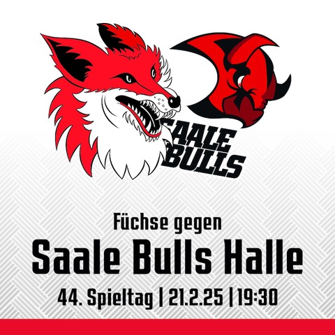 44. Spieltag: Fchse Duisburg - Saale Bulls Halle - Duisburg - 21.02.2025 19:30