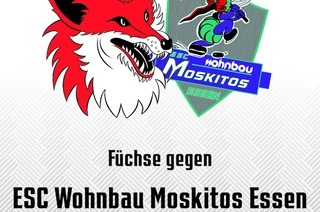 28. Spieltag: Fchse Duisburg - ESC Wohnbau Moskitos Essen