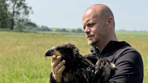 Im Land der 1000 Seeadler - Born am Dar - 02.10.2024 17:30