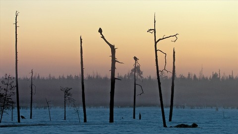 Skandinavien - Rckkehr des Lichts - Ostseebad Prerow - 03.10.2024 17:00