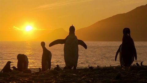 Wilde Eltern - Im Einsatz fr die Kinder - Ostseebad Prerow - 06.10.2024 11:00