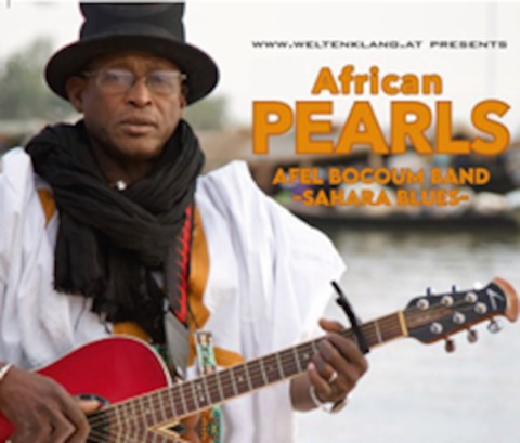 &#8222;African Pearls&#8220; - Afel Bocoum Band - Sahara Blues - Landshut - 08.04.2025 19:30