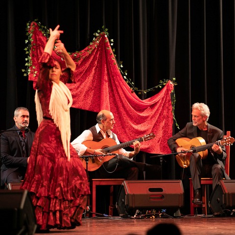 Fiesta Flamenca 2024 - Flamencotanz und Tapas - Freiburg - 12.10.2024 20:00