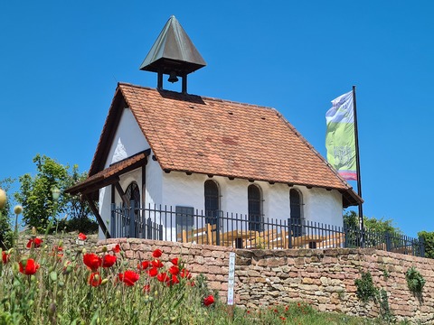 Bad Drkheimer Stadtgeschichten: Riesenfass, Wurstmarkt und Saline - Bad Drkheim - 10.10.2024 15:00