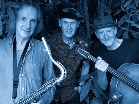 DRS Trio & Peter Weimar - Tbingen - 17.10.2024 20:30